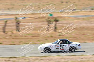 media/May-06-2023-Lucky Dog Racing (Sat) [[8f2256f436]]/Turn 2 10a/